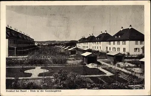 Ak Freidorf Muttenz Kt. Basel Land, Blick in die Gemüsegärten