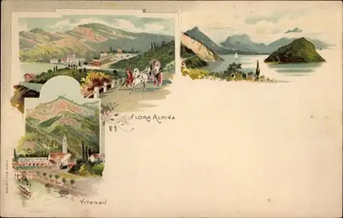 Litho Vitznau Kanton Luzern, Flora Alpina, Blick auf den Ort, Gebirge