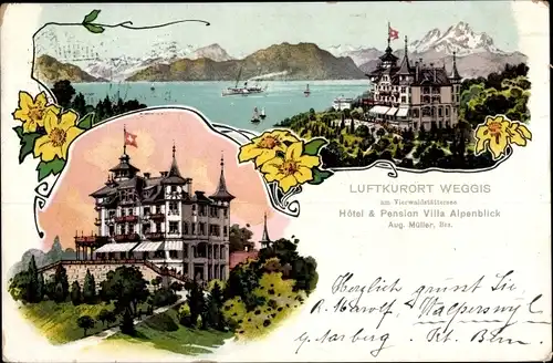 Ak Weggis Kanton Luzern, Hotel Villa Alpenblick