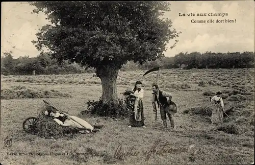 Ak La vie aux Champs, Comme elle dort bien
