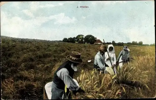 Ak Bauern bei der Getreideernte, J. Hösten