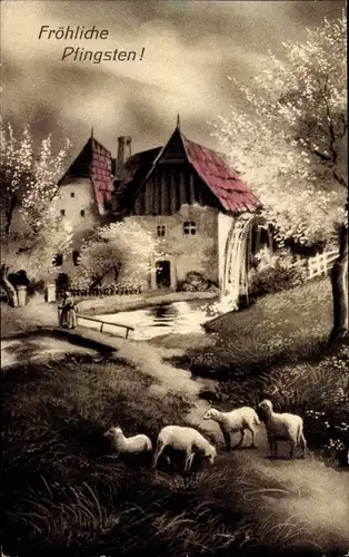 Ak Glückwunsch Pfingsten, Wassermühle, Schafe