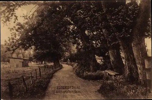 Ak Bloemendaal Nordholland Niederlande, Aelbertsberglaan