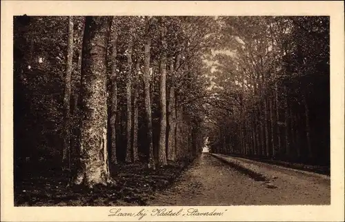 Ak Staverden Gelderland Niederlande, Laan bij Kasteel