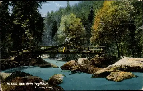 Ak Sankt Goarshausen am Rhein, Loreley Steg