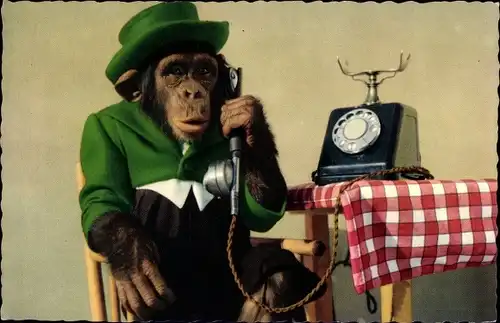 Ak Gekleideter Schimpanse beim Telefonieren, Telefon