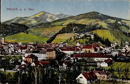 Ak Bruck an der Mur Steiermark, Totale