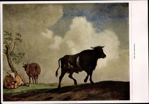 Sammelbild Die Malerei des Barock, Paulus Potter, Stier und Kühe