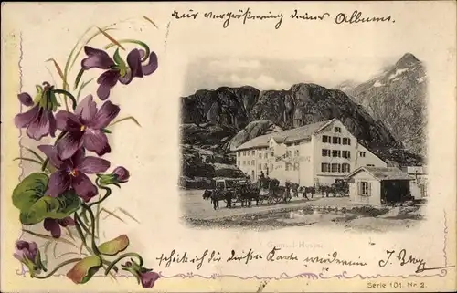 Ak Kanton Bern Schweiz, Grimsel Hospiz, Veilchen