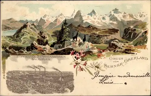 Passepartout Litho Bad Salzuflen im Kreis Lippe, Hoffmann's Stärkefabriken, Berner Oberland