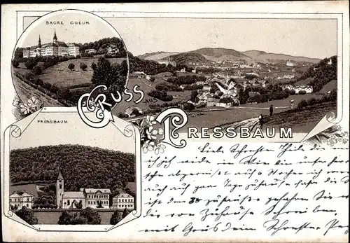 Litho Pressbaum in Niederösterreich, Sacre Coeur, Ortspanorama, Kirche