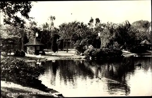 Ak Alphen aan den Rijn Südholland, Vijver, Intern. Vogelpark Avifauna