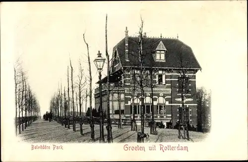 Ak Rotterdam Südholland Niederlande, Belvedere Park