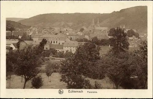 Ak Echternach Luxemburg, Panorama