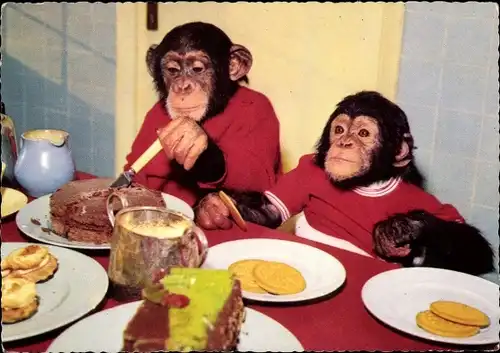 Ak Zwei Schimpansen in Menschenkleidern an der Kuchentafel