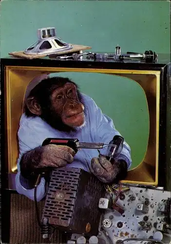 Ak Schimpanse vermenschlicht, Elektriker, Fernseher