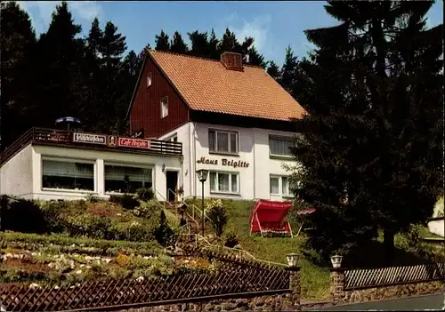 Ak Altenau Clausthal Zellerfeld im Oberharz, Privatpension Haus Brigitte, Hollywoodschaukel