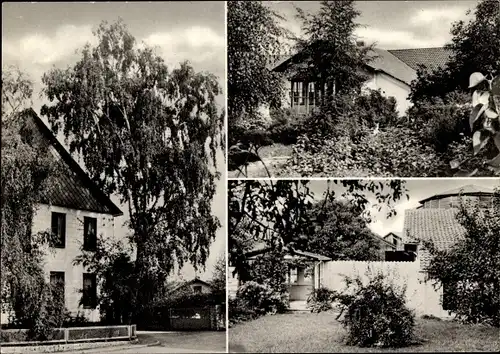 Ak Lüthorst Dassel in Niedersachsen, Hof auf dem Plane, Außenansichten