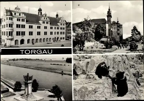 Ak Torgau an der Elbe, Schloss Hartenfels, Rosengarten, Rathaus, Denkmal der Begegnung an der Elbe