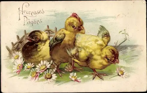 Präge Litho Glückwunsch Ostern, Küken, Margeriten