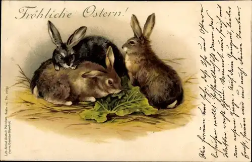 Litho Glückwunsch Ostern, Hasen fressen Kohlblätter