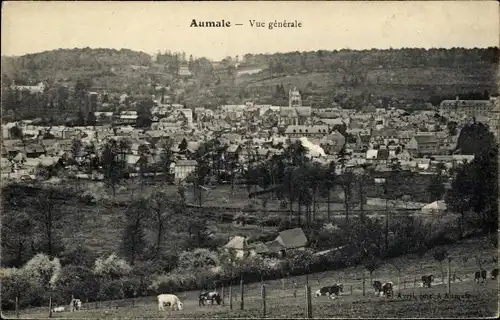Ak Aumale Seine Maritime, Vue generale