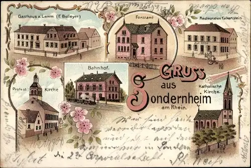 Litho Sondernheim Germersheim am Rhein, Restauration Falkenstein, Gasthaus zum Lamm