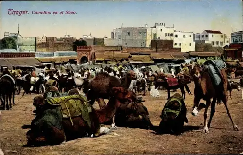Ak Tanger Marokko, Camellos en el Soco
