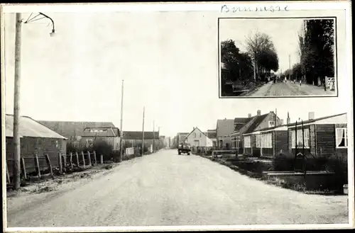 Ak Bruinisse Zeeland, Dit bleef er van de bomenpracht aan de ingang na de Stormramp 1953 over