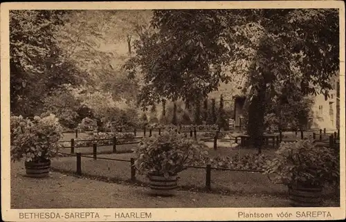 Ak Haarlem Nordholland Niederlande, Bethesda-Sarepta, Plantsoen voor Sarepta