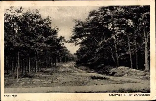 Ak Nunspeet Gelderland, Zandweg in het Zandenbos