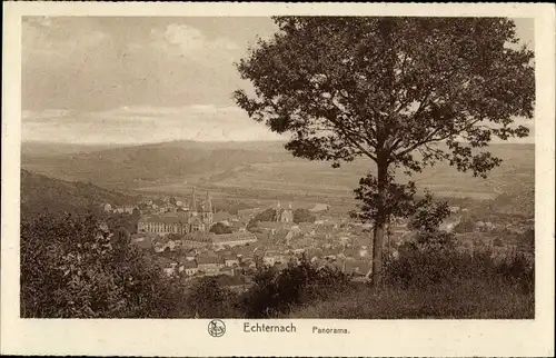 Ak Echternach Luxemburg, Panorama