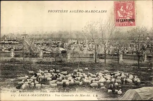 Ak Lalla Maghrnia Algerien, Vue Generale du Marché