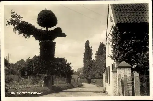 Ak Nuth Limburg Niederlande, Voorsterstraat