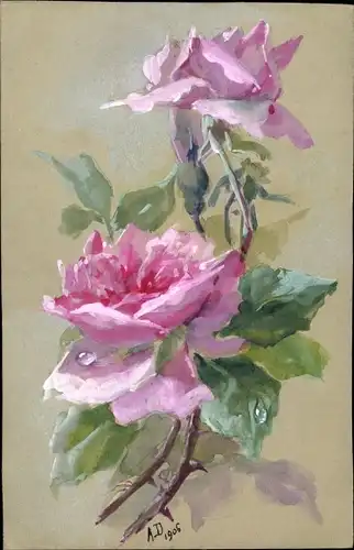 Litho Blühende Rosen, Rosenblüten