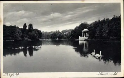 Ak Krefeld am Niederrhein, Stadtwald, See, Pavillon, Schwäne