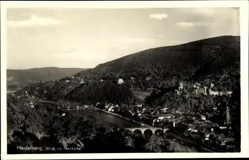Ak Heidelberg am Neckar, Blick ins Neckartal, Panorama