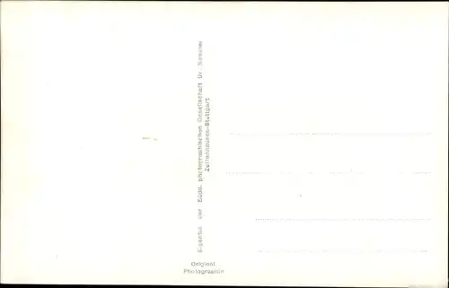 Ak Heidelberg am Neckar, Blick ins Neckartal, Panorama