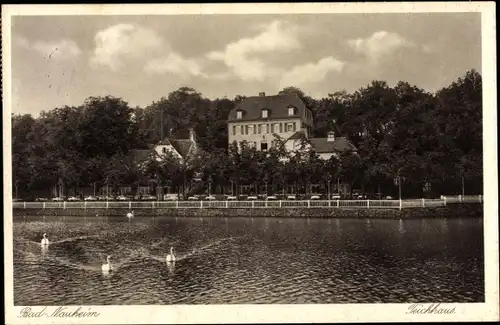 Ak Bad Nauheim in Hessen, Teichhaus, Promenade, Schwäne, Blick über Wasser