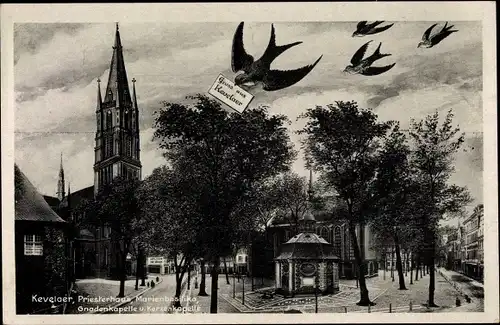 Ak Kevelaer am Niederrhein, Priesterhaus, Marienbasilika, Gnadenkapelle und Kerzenkapelle, Schwalben