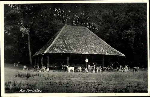 Ak Bad Homburg vor der Höhe Hessen, Waldcafe Hirschgarten, Am Futterplatz
