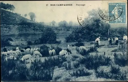 Ak Nos Campagnes, Paysage, Schafe auf der Weide