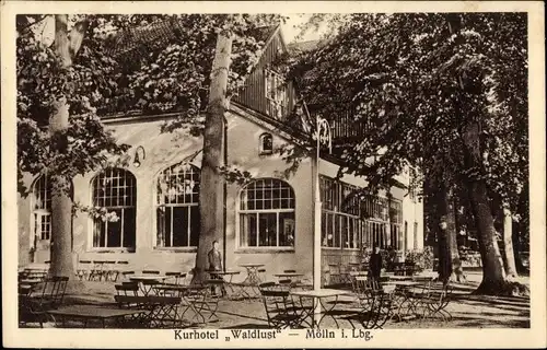 Ak Mölln im Herzogtum Lauenburg, Kurhotel Waldlust