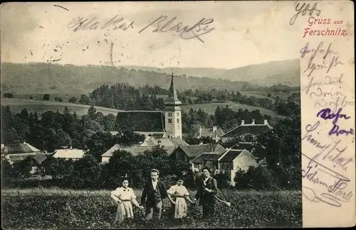 Ak Ferschnitz Amstetten in Niederösterreich, Blick auf den Ort, Jäger