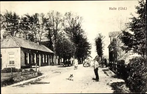 Ak Halle Gelderland, Straßenpartie