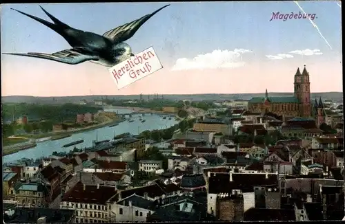Ak Magdeburg an der Elbe, Panorama, Schwalbe