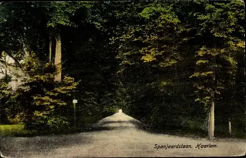 Ak Haarlem Nordholland Niederlande, Spanjaardslaan