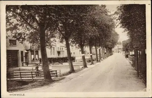 Ak Wommels Súdwest Fryslân Friesland Niederlande, Straßenpartie, Allee