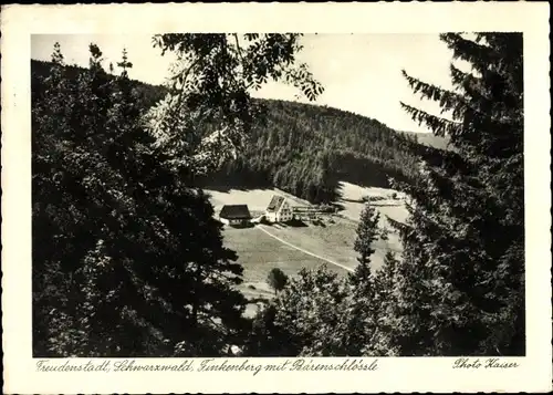 Ak Freudenstadt im Nordschwarzwald, Finkenberg mit Bärenschlössle