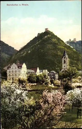 Ak Bornhofen am Rhein, Panorama, Kirche